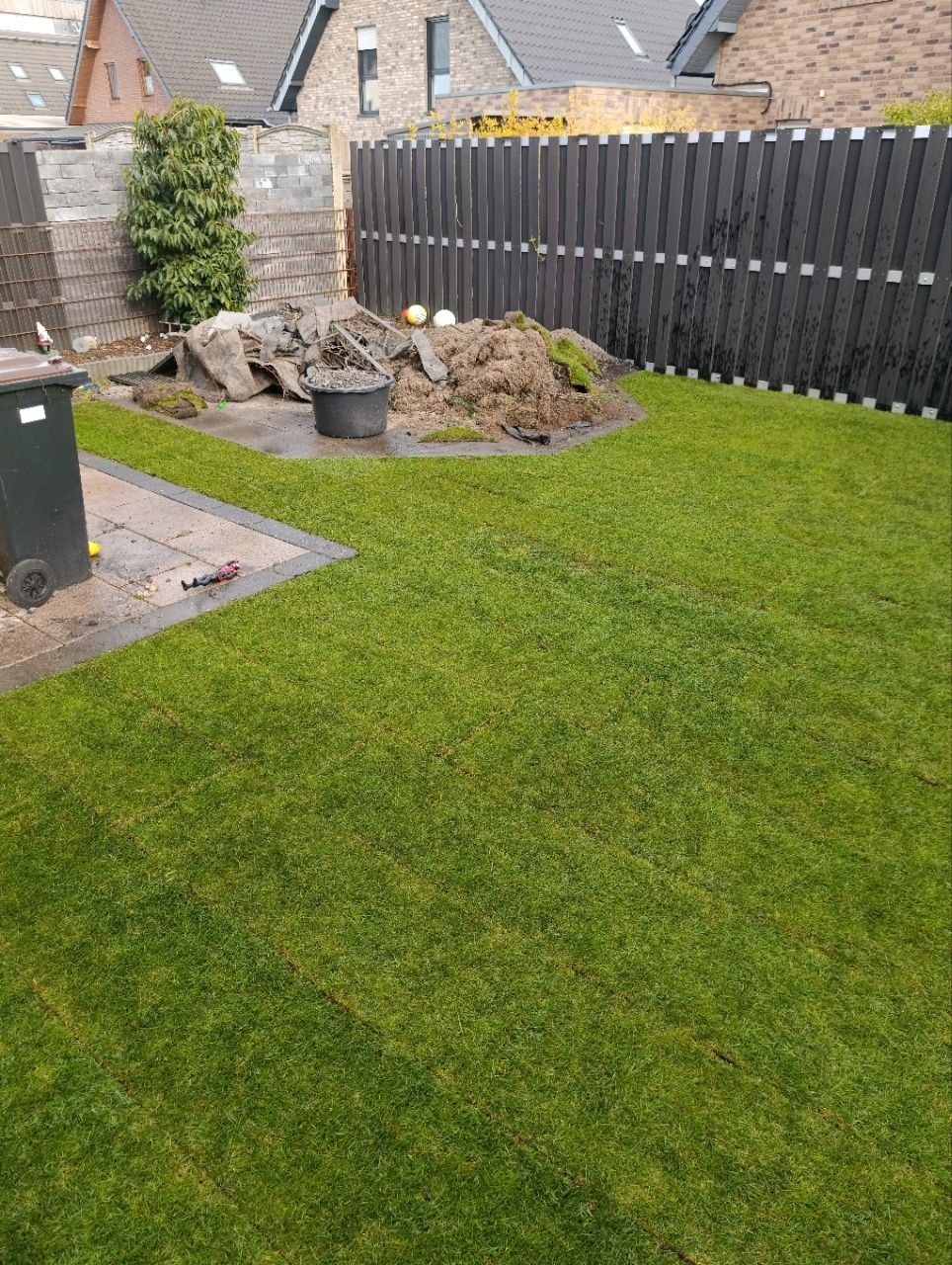 Gartenfläche mit neuem Rollrasen